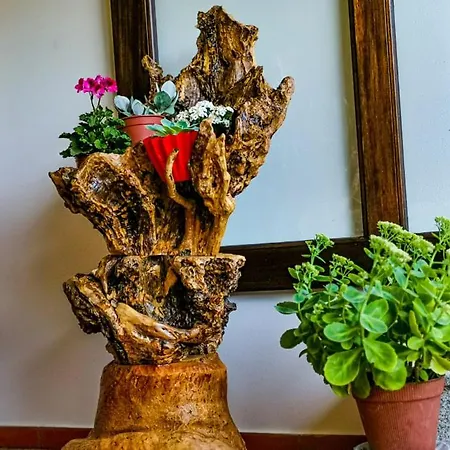 Casa Carolina * Vila Seca (Viseu)