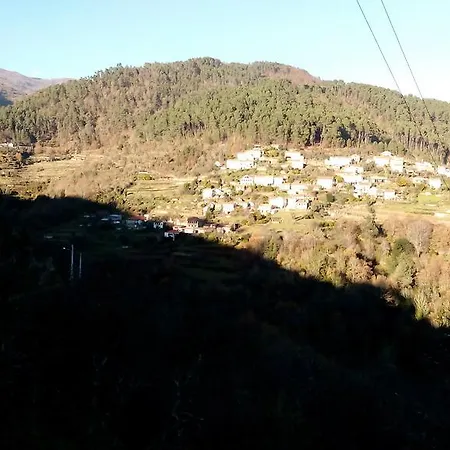 卡罗莱纳乡村民宿 *