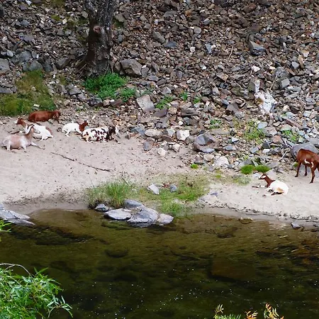 Casa Carolina Landsted