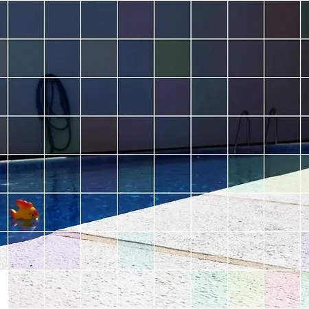 Casa Carolina Vila Seca (Viseu)