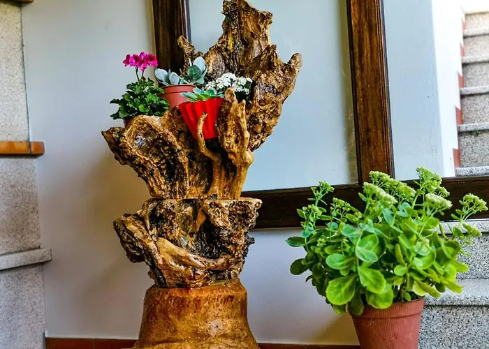 Casa Carolina * Vila Seca (Viseu)