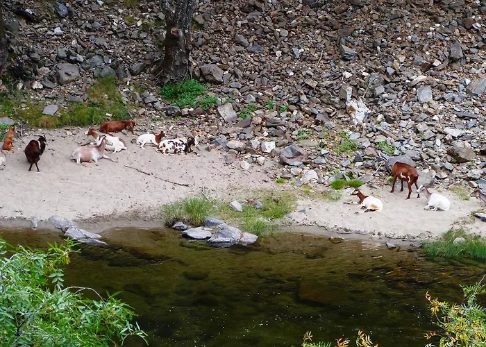 Casa Carolina カントリーハウス